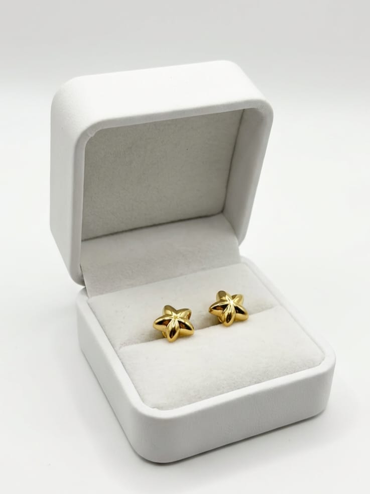 18K gold-plated star-shape small stud Earrings