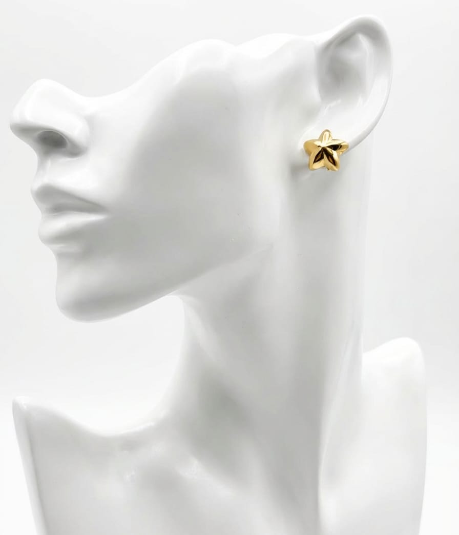 18K gold-plated star-shape small stud Earrings